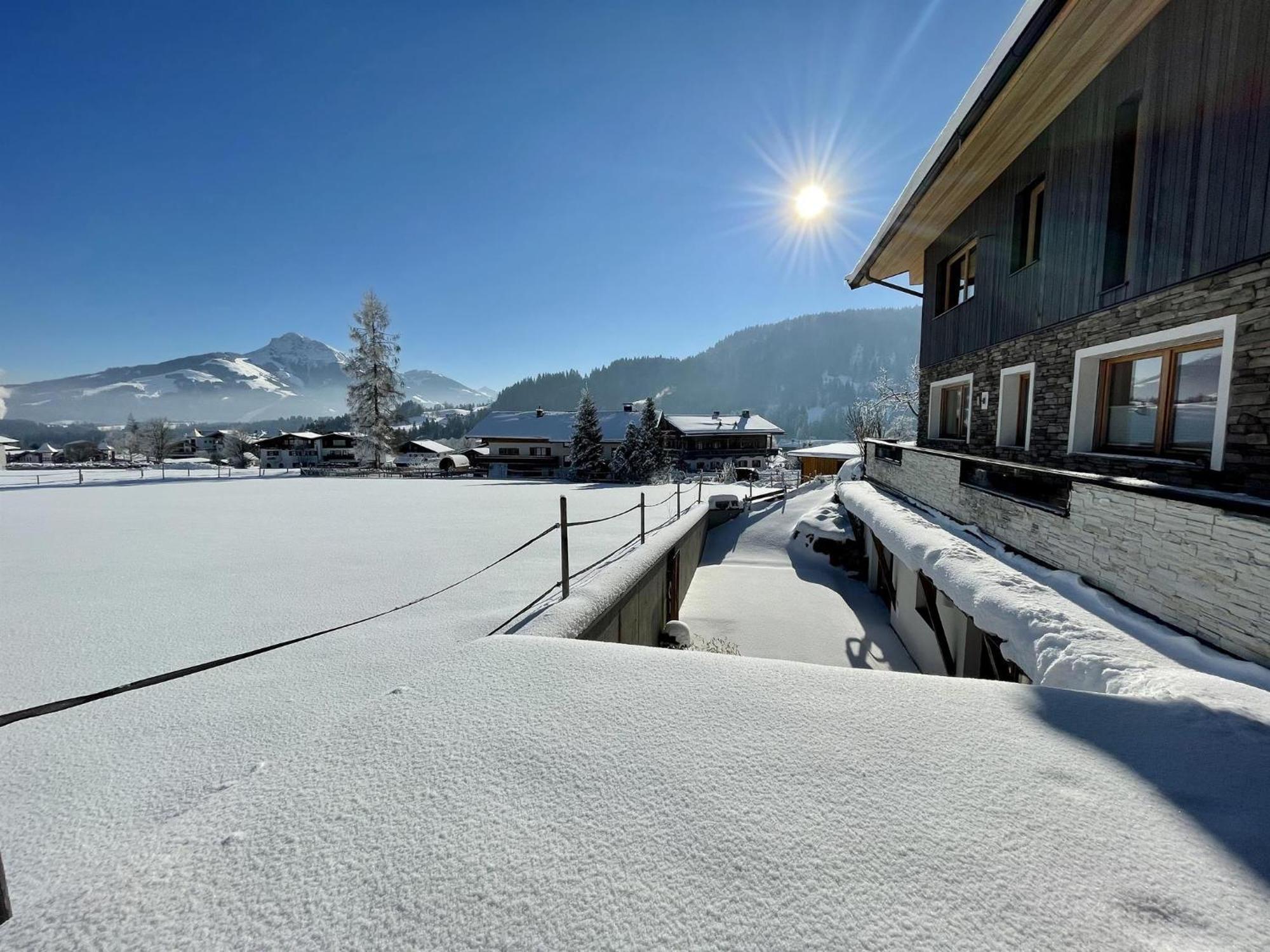 Mona Apartment Going am Wilden Kaiser Dış mekan fotoğraf